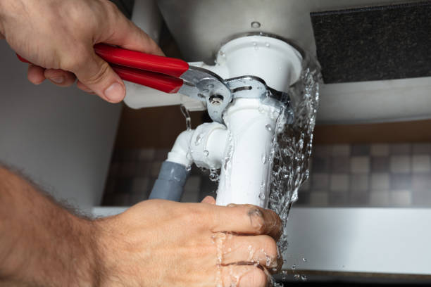 Best Water damage restoration near me  in Cornelia, GA