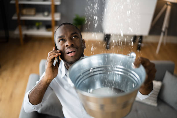 Best Carpet water damage restoration  in Cornelia, GA