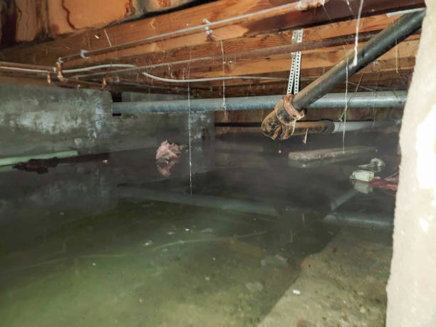 Sewage cleanup and water damage restoration in GA