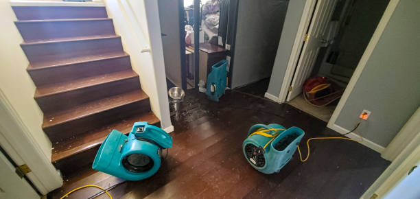 Best Water damage cleanup near me  in Cornelia, GA