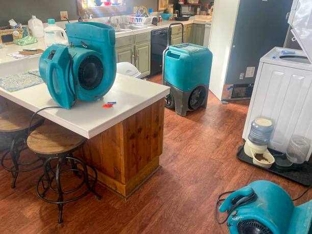 Best Ceiling water damage repair  in Cornelia, GA