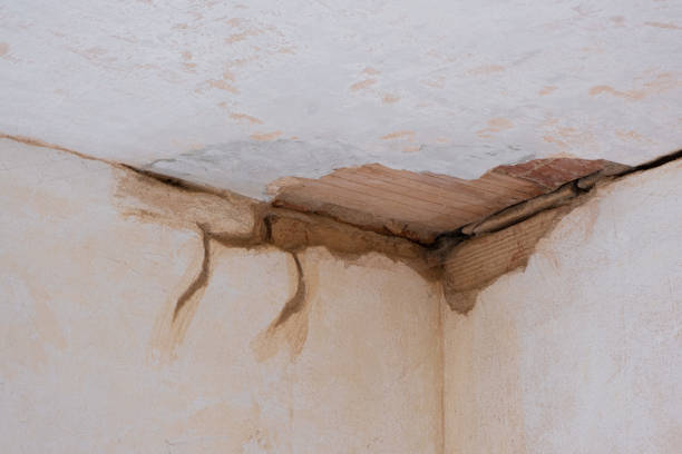 Best Basement water damage restoration  in Cornelia, GA