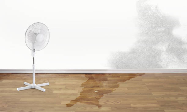 Best Emergency water damage restoration  in Cornelia, GA