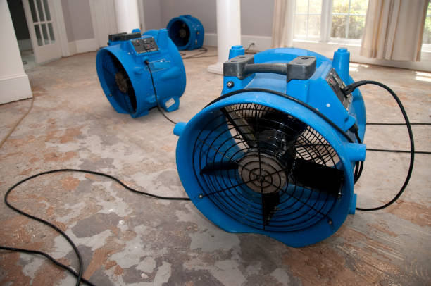 Best Water damage contractors near me  in Cornelia, GA