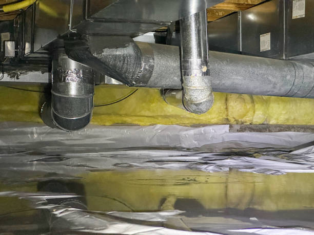 Best Carpet water damage restoration  in Cornelia, GA