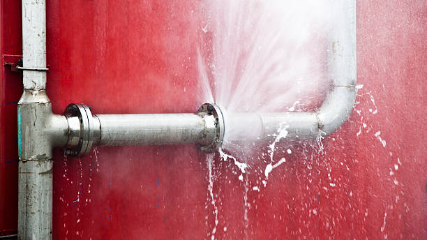 Best Water damage contractors near me  in Cornelia, GA